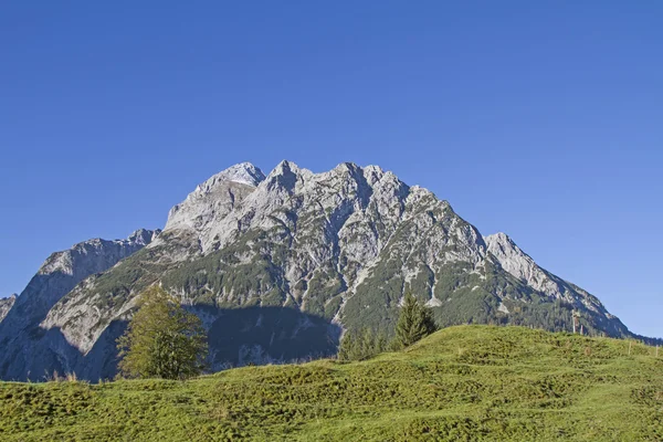 Falk groep in Risser vallei in Tirol — Stockfoto