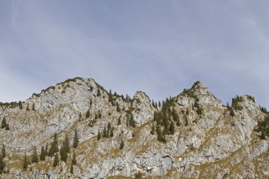 Achselkoepfe Benediktenwand alanında