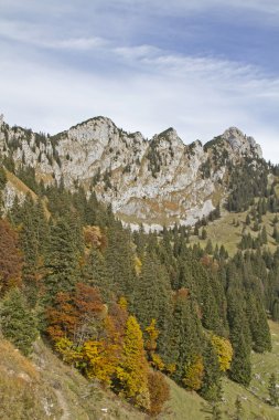 Achselkoepfe Benediktenwand alanında