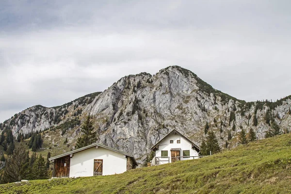 Benediktenwand açık Scharnitzalm güneyinde — Stok fotoğraf