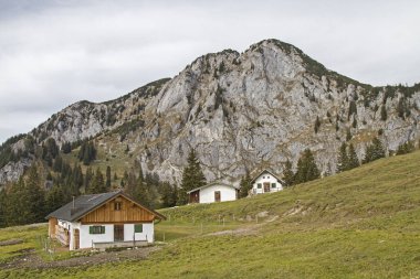 Benediktenwand açık Scharnitzalm güneyinde