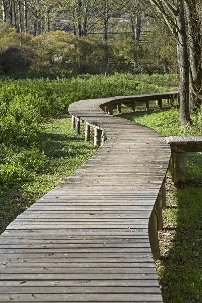 No biótopo do Lago Terlago — Fotografia de Stock