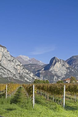 Sonbahar gün içinde Trentino