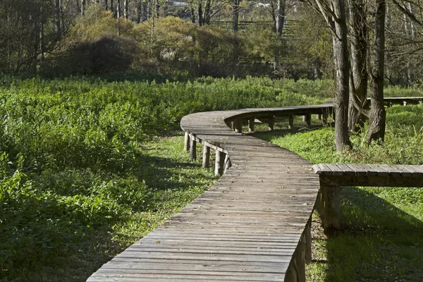 In de biotoop op Lago Terlago — Stockfoto