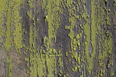 wooden wall - in need of renovation  clipart
