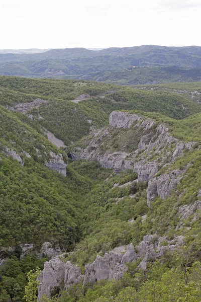 Vela Draga in het natuurpark Ucka — Stockfoto