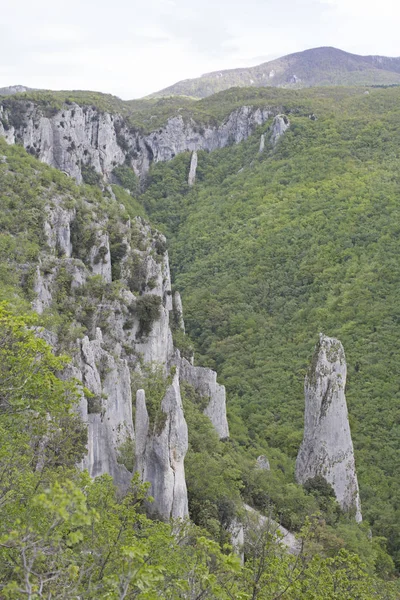 Vela Draga w Parku Przyrody Učka — Zdjęcie stockowe