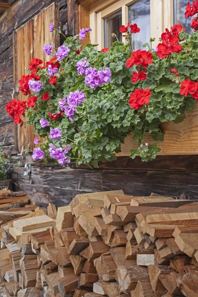 tomaat en vork in een mand — Foto de stock © firefox #91897714