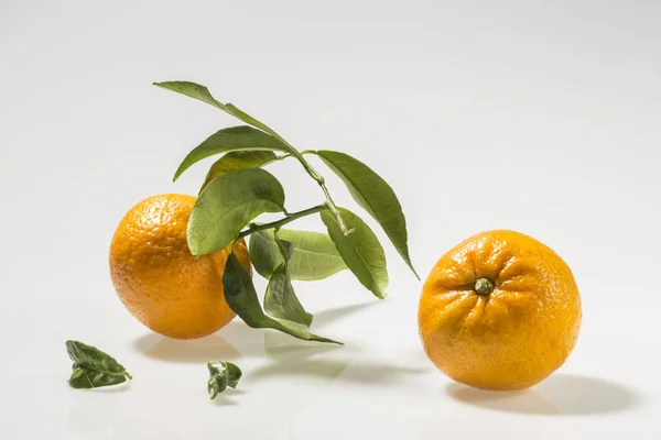 52/5000Freshly picked tangerines on white background — Stock Photo, Image
