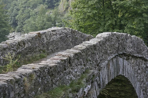 Gammel stenbro i Piemonte - Stock-foto