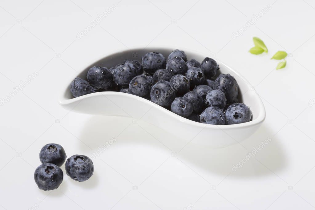 Bowl of blueberries against white background