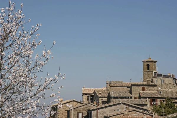 Spring in Orvieto — Stock Photo, Image