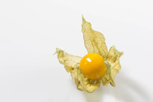 Fruits of cape gooseberry — Stock Photo, Image