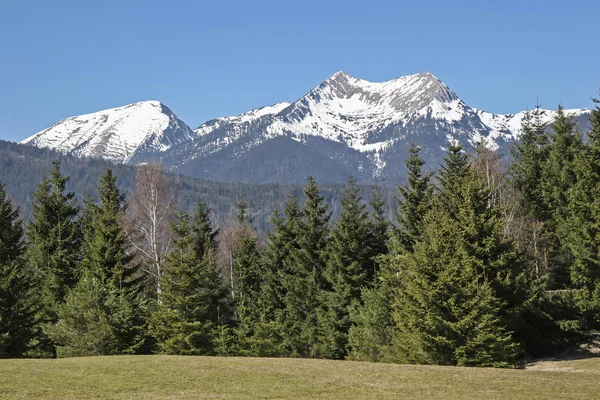 Krottenkopf Ester dağlarda — Stok fotoğraf