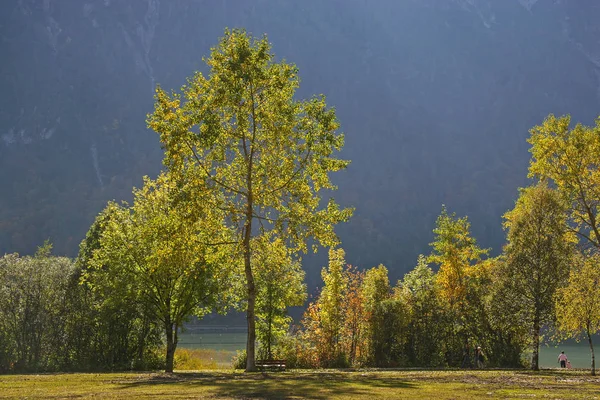 おり、アッヘン湖湖の秋 — ストック写真