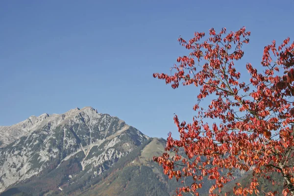 Őszi színek a hegyekben — Stock Fotó