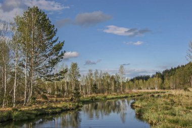Ellbach moor bahar