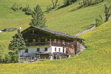 South Tyrol grupta dağ