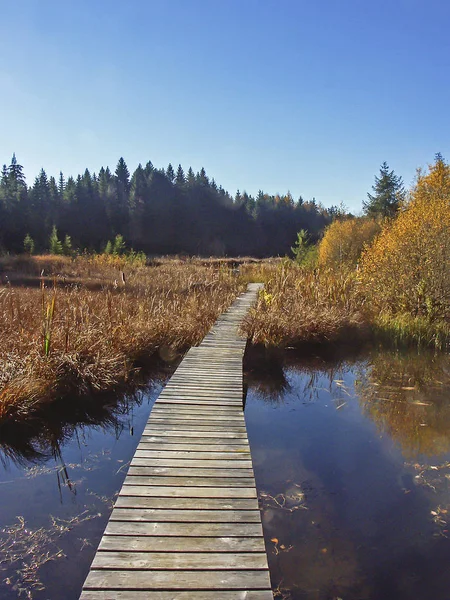 Hacken sjön på hösten — Stockfoto