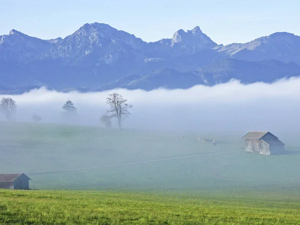 Niebla paisaje en Allgaeu — Foto de Stock