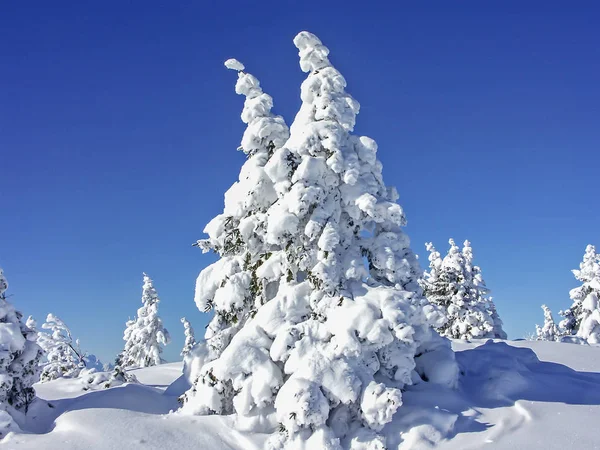 Winter at  Hirschberg — Stock Photo, Image