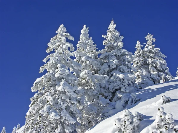 Winter in Hirschberg Stockfoto