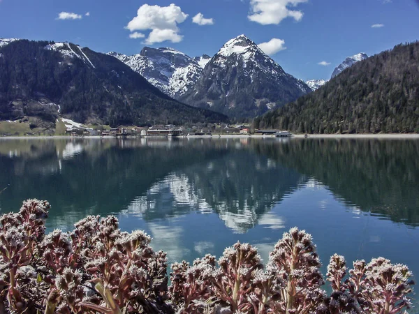 Primavera en el lago Achen —  Fotos de Stock