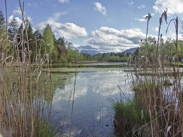 Moor lake in Bad Toelz — Φωτογραφία Αρχείου