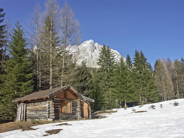 Zugspitze near Ehrwald — Stok fotoğraf