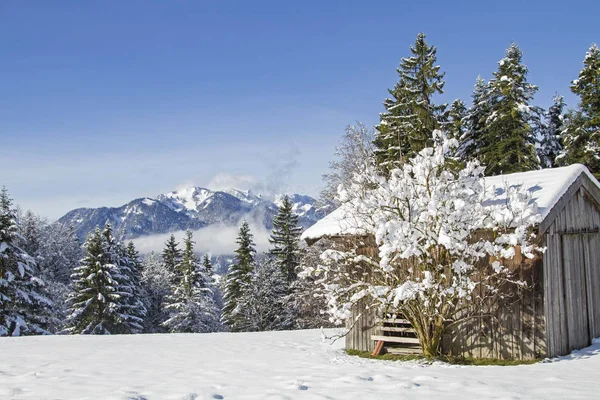 Winter im Isarwinkel — Stockfoto