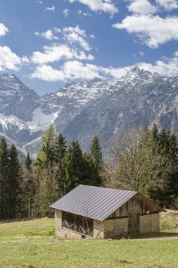 Papa'nın yolunu Lorenzago di Cadore yakınındaki