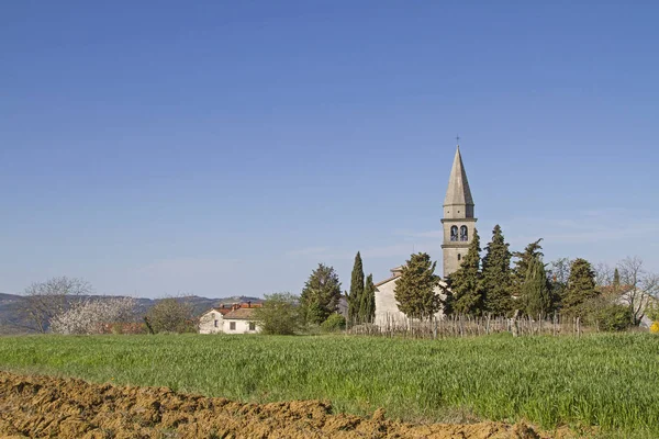 Vrh in Istria — Stockfoto