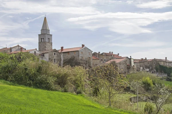 Kostanjica en Istria —  Fotos de Stock