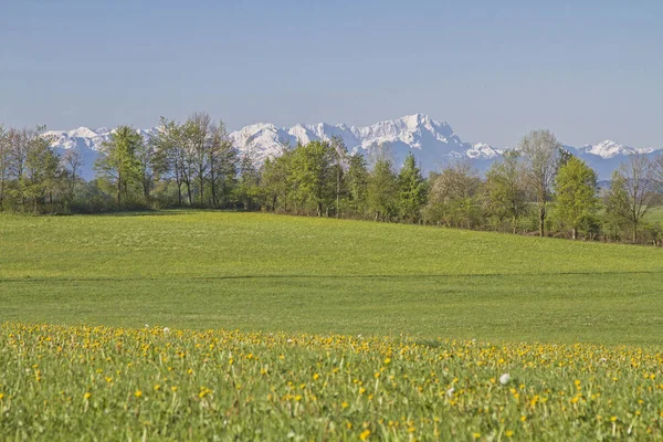 Wetterstein dağlarının görünümü — Stok fotoğraf