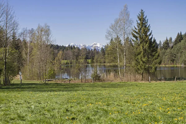 Buchner pond near Bad Toelz — Φωτογραφία Αρχείου