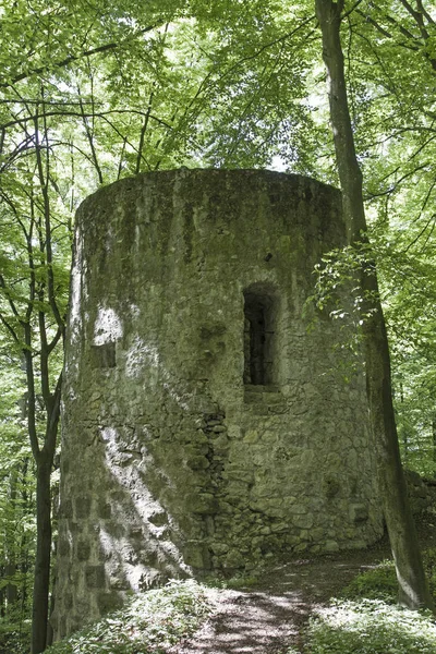 Ehrenfels kalesi kalıntıları Upper Palatinate — Stok fotoğraf