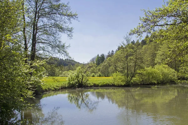 In the valley of the black Laaber — Stock Photo, Image