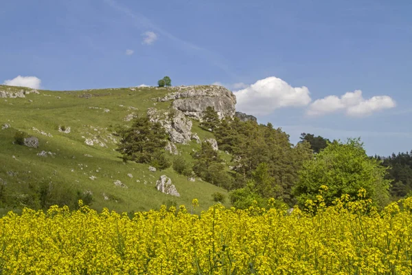 Landschaft im Tal des schwarzen Säbels — Stockfoto