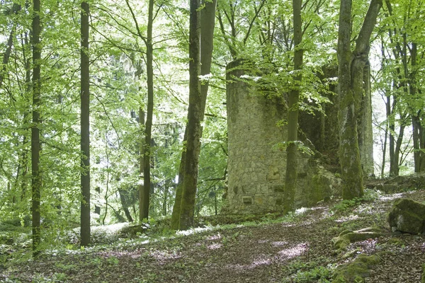 Ehrenfels slottsruiner i övrePalatinaten — Stockfoto