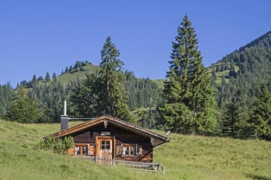 Üst Orterer Alm Benediktenwand güneyinde