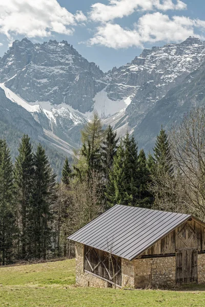 Papa'nın yolunu Lorenzago di Cadore yakınındaki