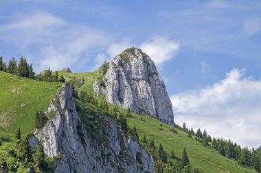 Kirchstein Braueck alanında