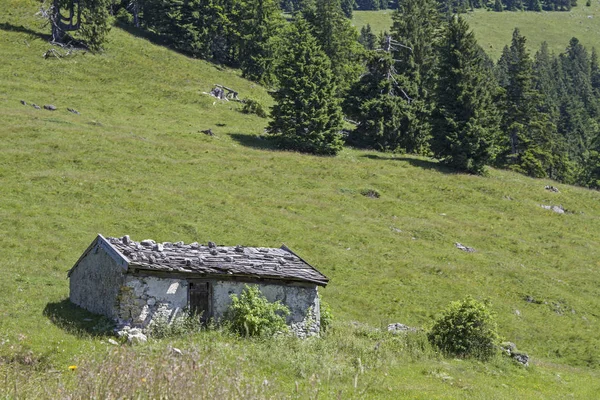 Tanneralm i Benediktenwand område — Stockfoto