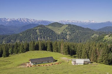Açık Scharnitzalm yaz