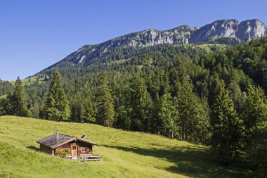 Üst Orterer Alm Benediktenwand güneyinde