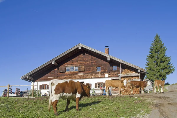 Schweinsteiger Alm im Wendelstein area — Stockfoto