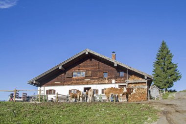 Schweinsteiger Alm im Wendelstein area