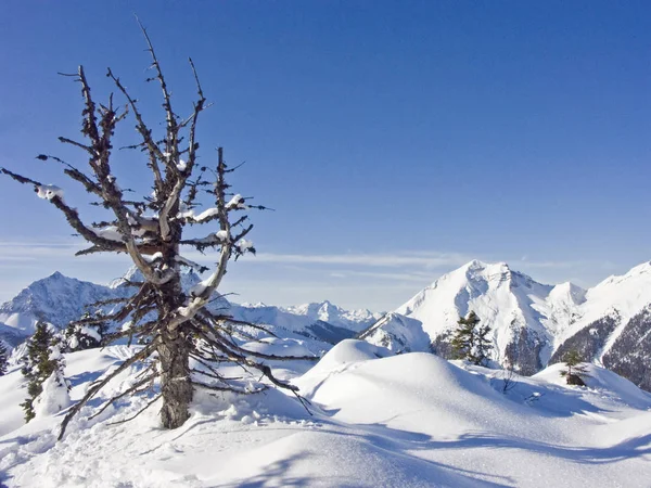Zima w dolinie Riss — Zdjęcie stockowe