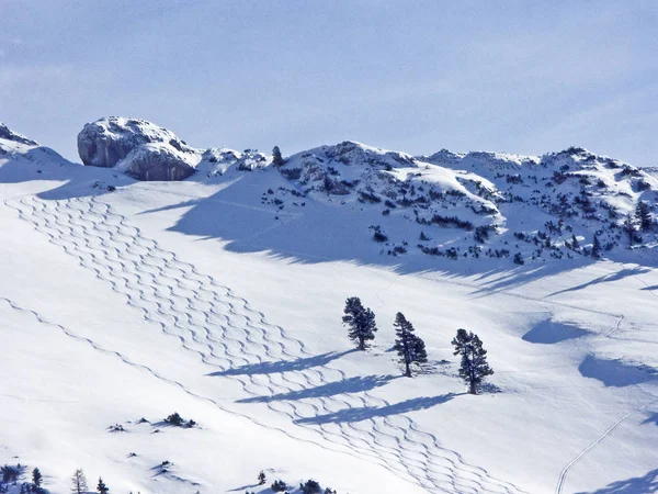 Skitour i bergen Rofan — Stockfoto
