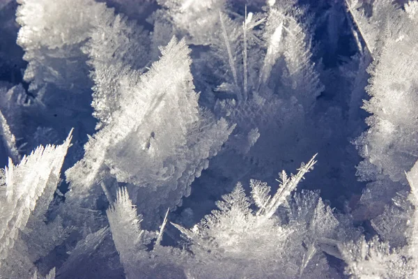 Icy Wonders of Nature — Stock Photo, Image